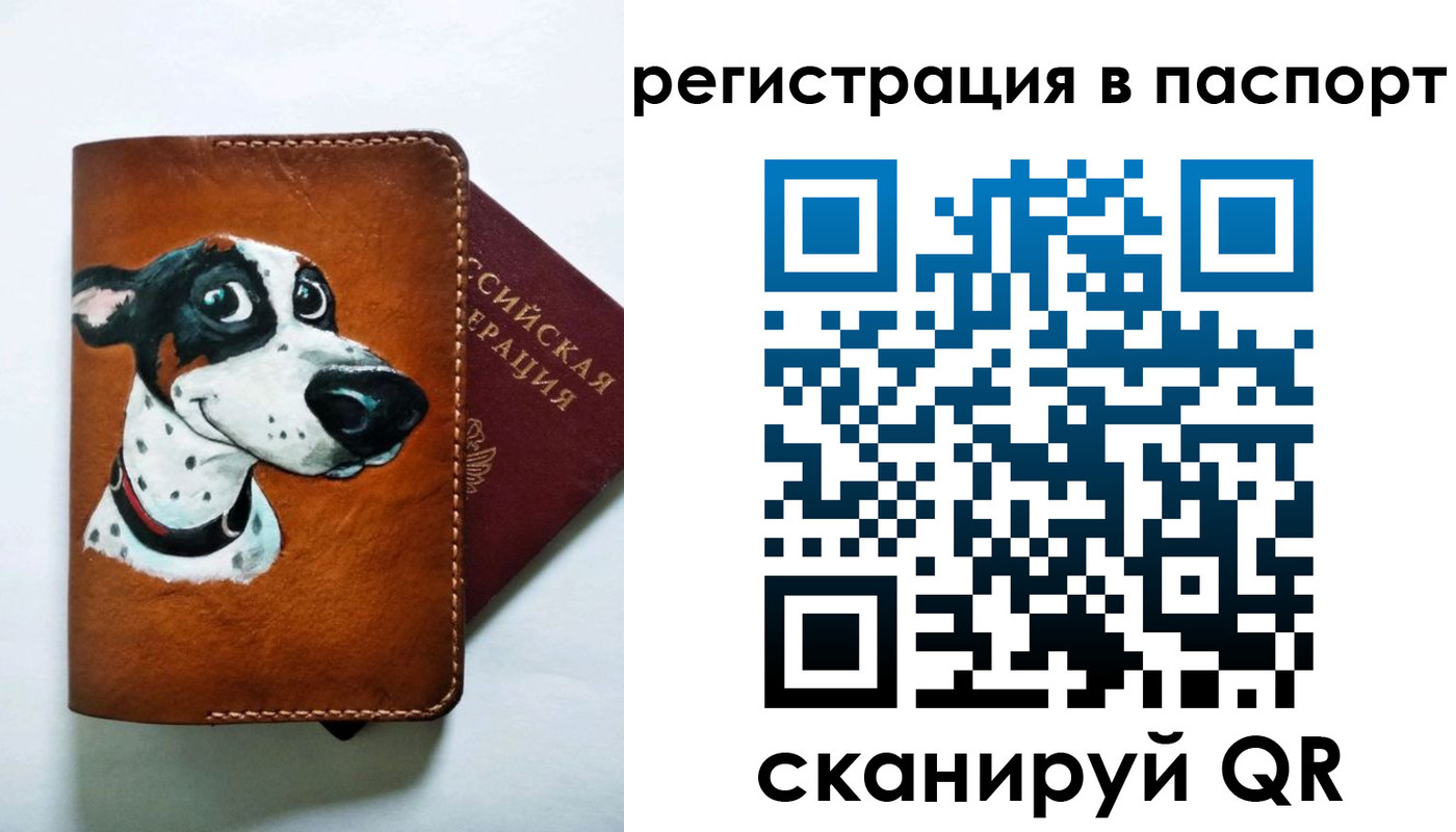 прописка штамп в Емве